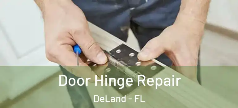  Door Hinge Repair DeLand - FL