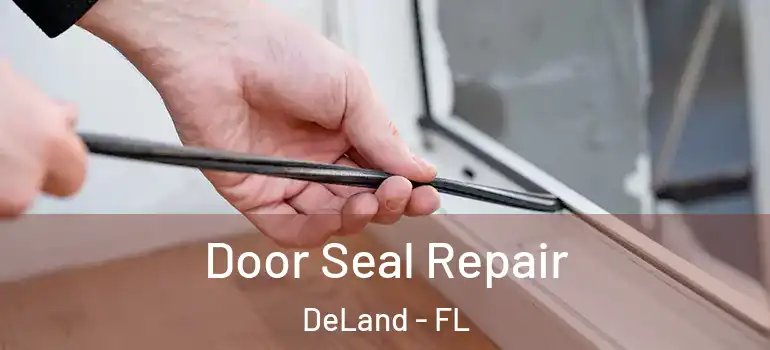  Door Seal Repair DeLand - FL