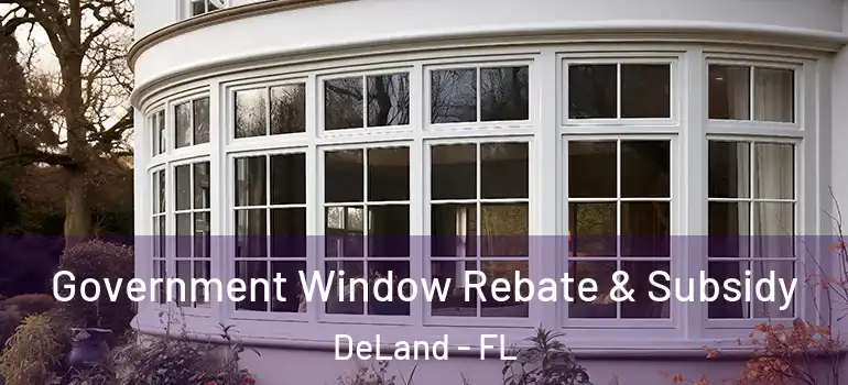  Government Window Rebate & Subsidy DeLand - FL