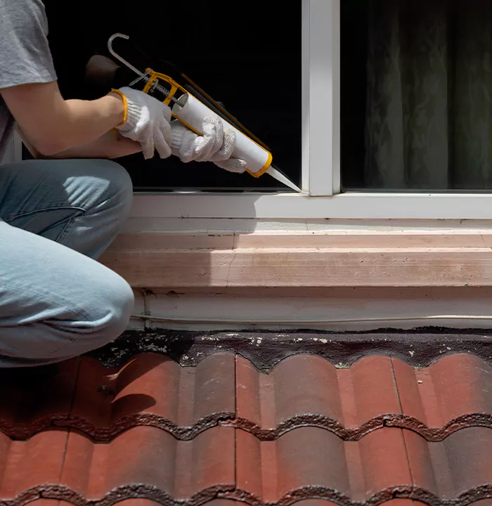 Roof Window Services in DeLand, Florida