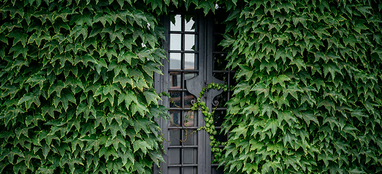 Garden Gate Repair in DeLand, FL