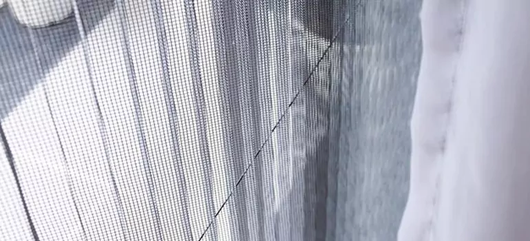 Fixing Screen Window Mesh in DeLand, FL