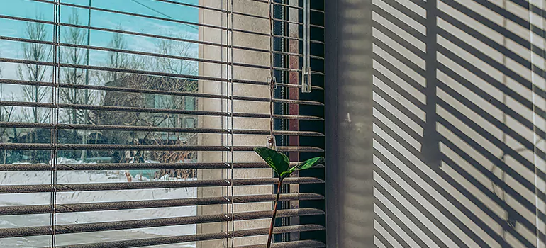 Commercial Window Blinds in DeLand, FL