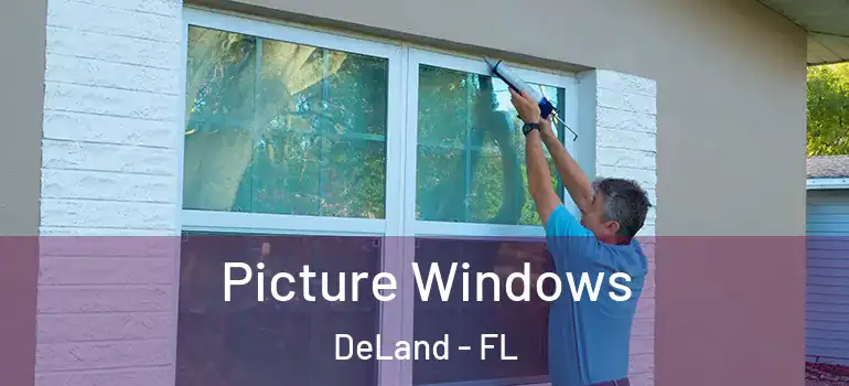  Picture Windows DeLand - FL