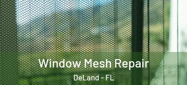  Window Mesh Repair DeLand - FL