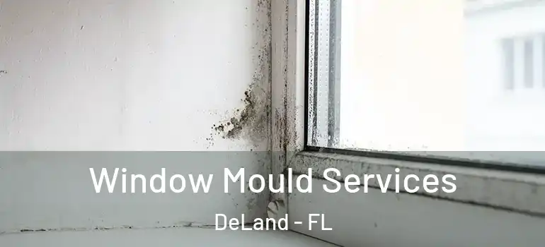  Window Mould Services DeLand - FL